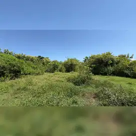 Land | Centre in Bingin