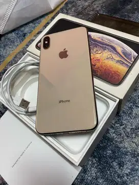 Iphone xs max 256 inter