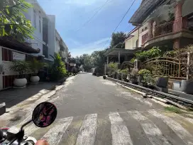 Jarang Ada Area Bunga Merak Cengger Ayam Suhat