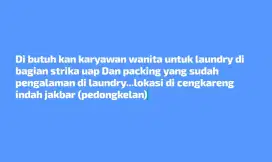 Karyawan laundry