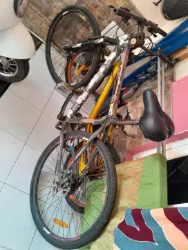 Sepeda gunung apiator