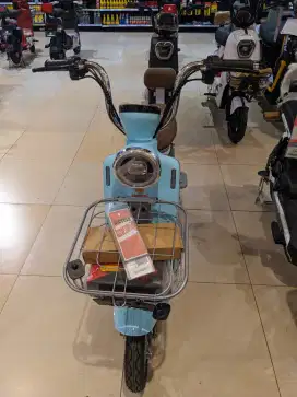 Exotic EBike Brosway