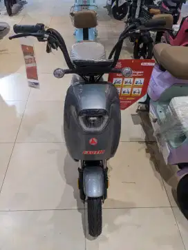 Exotic Ebike Blazon