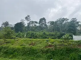 Dijual Cepat, Negoo! Cocok untuk camp ground, lahan peternakan