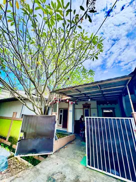 Disewakan Rumah Besar Murah di Jl Eldora 2 Graha Raya  Alam Sutera