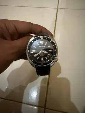 Seiko Land turqoise