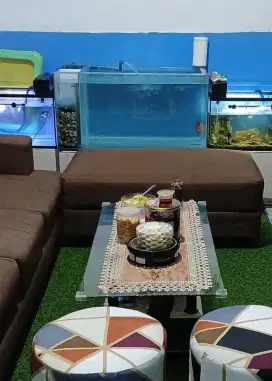 Aquarium bekas jumbo