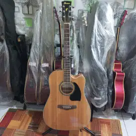 Ibanez PF15 ECE NT original