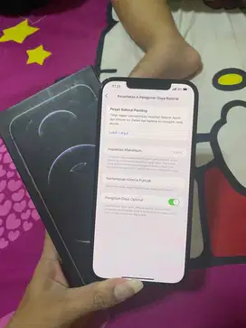 iPhone 12 Pro Max 128GB All operator