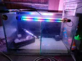 Aquarium second