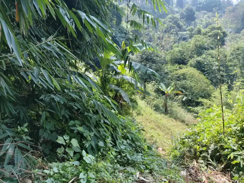 TURUN HARGA TANAH DAGO PAKAR BANDUNG