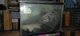 Aquarium akrilik ukuran M