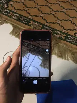hp ip 6+ muluss bangett