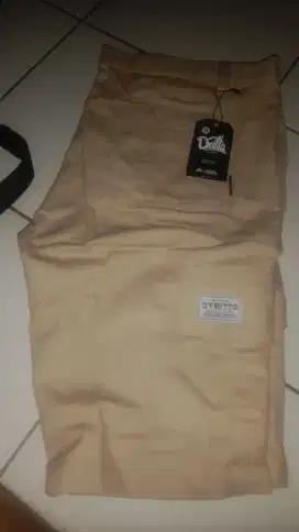 Cargo pendek baru