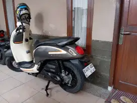 Honda Scoopy  2022 like new
