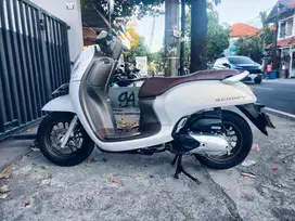 Scoopy dp 500 th 2023 deva motor