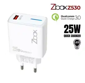 Charger Zbox Z530