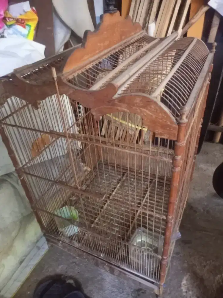 Kandang burung Ocehan