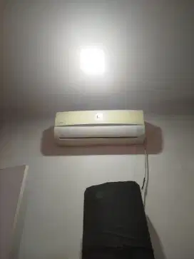 Ac sharp 1/2 pk