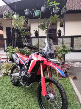 Honda CRF 250 Rally 2022