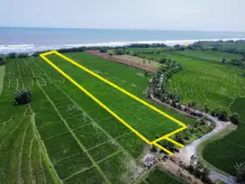 Dijual Tanah Los Pantai Zona Pink di Pasut Kelating Beach