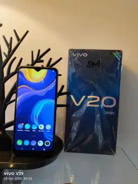 Vivo V20 NFC 8/128Gb Lengkap