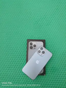 Iphone 13 Pro 256 Gb