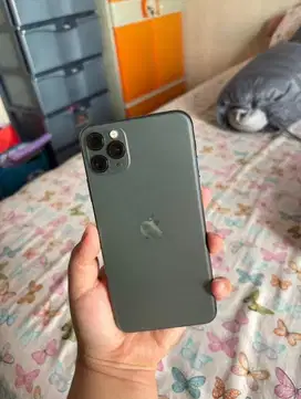 iPhone 11 Pro Max 256GB Ex Inter All Provider
