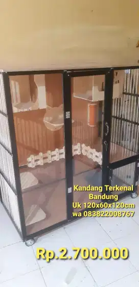 Kandang kucing bandung 1b
