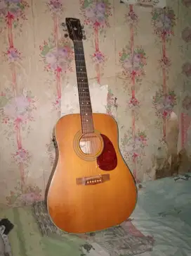 Guitar Cord EARTH70E NS