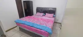 Disewakan Apartment M Town 2 Bedroom Gading Serpong