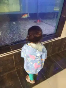 Pengasuh anak 1,5tahun