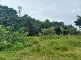 Kavling area Cileungsi, Include fasum Jalan 5 Meter. Bisa Angsur 12X