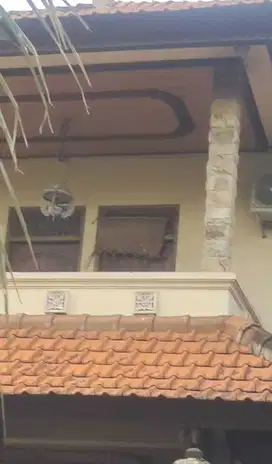 Beli Tanah 3 Are Isi Rumah di Bung Tomo Dps