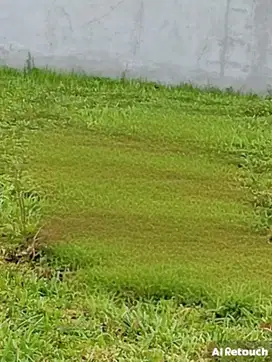 Dijual Tanah Kavling Taman Puspa Raya Strategis Siap Pakai