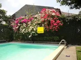 Rumah Sewa Mewah Jalan Raya Kemang Selatan, Premium 2 Lantai
