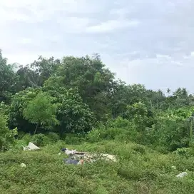 LAHAN DI AREA DESTINASI WISATA DI KEMENUH, UBUD - BALI