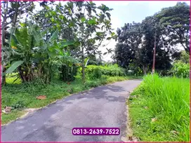 Jual Murah di Drono Jl Palagan Sleman