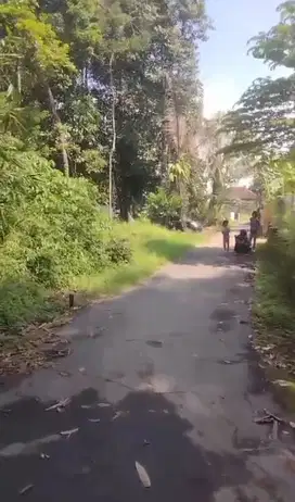 tanah nyaman dan strategis margoagung seyegan cocok hunian