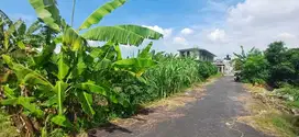 Tanah potensial di kawasan wisata padang galak denpasar bali