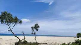 Dijual murah tanah Loss Pantai Wula Waijelu Sumba Timur