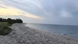 Dijual murah tanah Loss Pantai Laipori Sumba Timur