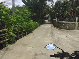 tanah sangat nyaman dan asri seyegan cocok kavlingan