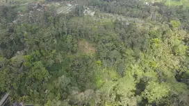 Tanah los tebing sungai view jungle di Ubud, akses jalan 7 meter
