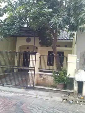 Rumah Citra 3 (Ukuran 6x15 m)