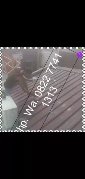 Tukang Genteng Bocor Seng