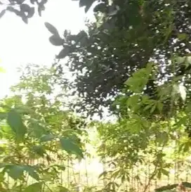 Dijual Tanah Kavling di Cinere Depok