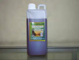 Madu Multiflora asli 1 kg