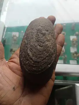 Batu suiseki bentuk perahu.