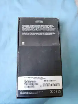 iPhone 11 pro Max 256 gb